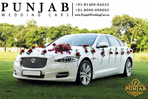 Jaguar Xj L White Color Luxury Wedding Car Hire