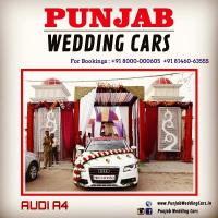13Audi_Wedding_Cars_for_rent_Jalandhar_Phagwara_Bathinda_Sangroor_Punjab.JPG