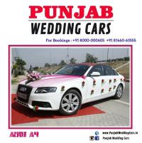 17Pink_Flowers_and_teddy_bouquet_Decorated_Audi_Wedding_Cars_for_rent_Jalandhar_Phagwara_Bathinda_Sangroor_Punjab.JPEG