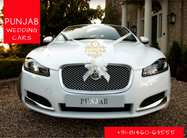 WEDDING CARS - JAGUAR XF White ribbons decorated wedding cars for bride and groom Available in Chandigarh, Jalandhar, Ludhiana, Amritsar, Barnala, Bathinda, Hoshiarpur, Faridkot, Fatehgarh Sahib, Fazilka, Firozpur, Gurdaspur, Kapurthala, Mansa, Moga, Ajitgarh, Ropar, Muktsar, Shahid Bhagat Singh Nagar(first known as Nawan Shahr), Sangrur, Patiala, Pathankot, Tarn Taran