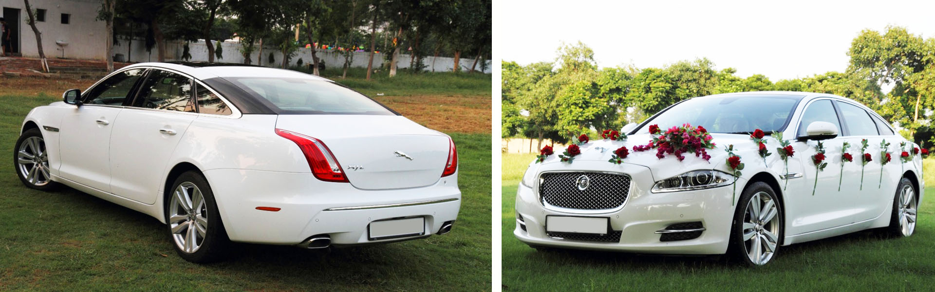 WEDDING CARS White Jaguar XJ L - Poster White Jaguar XJ L - Poster for wedding rental in Punjab, India