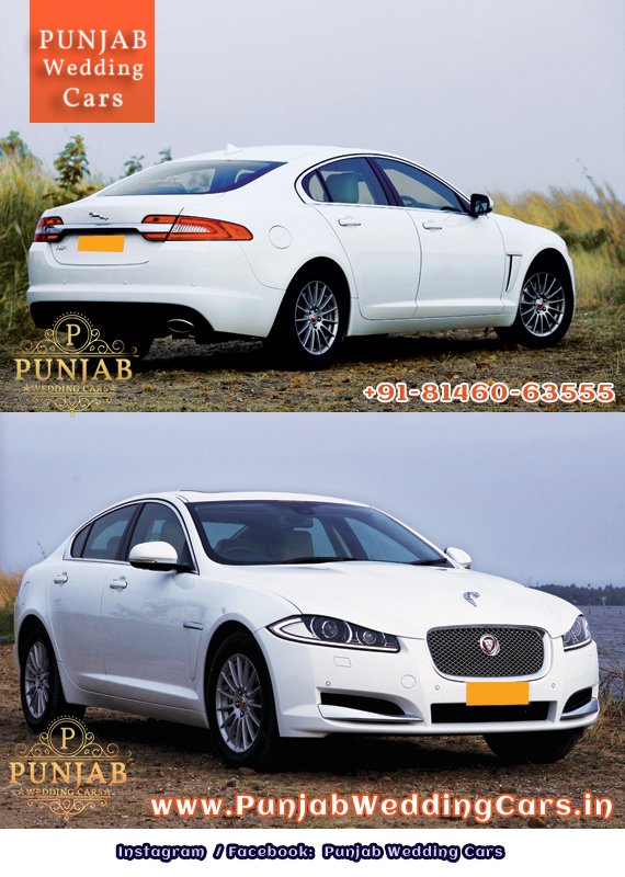 WEDDING CARS - White Jaguar XF 2.2 Luxury Available in Chandigarh, Jalandhar, Ludhiana, Amritsar, Barnala, Bathinda, Hoshiarpur, Faridkot, Fatehgarh Sahib, Fazilka, Firozpur, Gurdaspur, Kapurthala, Mansa, Moga, Ajitgarh, Ropar, Muktsar, Shahid Bhagat Singh Nagar(first known as Nawan Shahr), Sangrur, Patiala, Pathankot, Tarn Taran