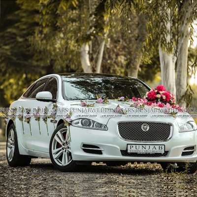 jaguar-xjl-white-decorated-wedding-car-for-rent-in-punjab-jalandhar-phagwara