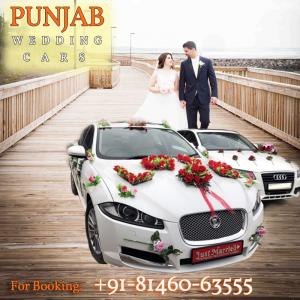 WEDDING CARS wedding car Punjab — Punjab Wedding Cars
