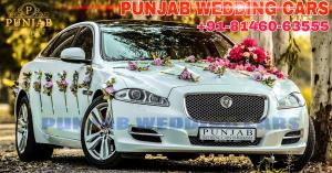 WEDDING CARS wedding car Punjab — Punjab Wedding Cars