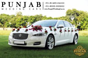 WEDDING CARS — White Jaguar XJ L - Portfolio wedding car in Punjab