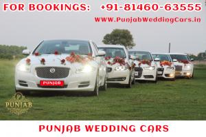 WEDDING CARS — American Chrysler Limousine, Jaguar Audi and BMW cars for rent in Phagwara Jalandhar  All Punjab. wedding car in Punjab