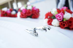JUST MARRIED — Jass Weds Preet wedding car in Punjab