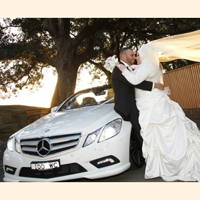 Punjab Wedding Cars |+91-81460-63555 | Best Prices No Hidden Charges