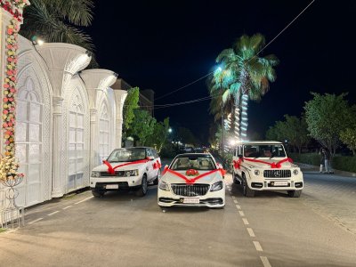 Wedding Cars in Punjab  with Price for NRIs: Luxury Wedding Car Booking Guide for Canada, USA, Australia, New Zealand &amp; Germany