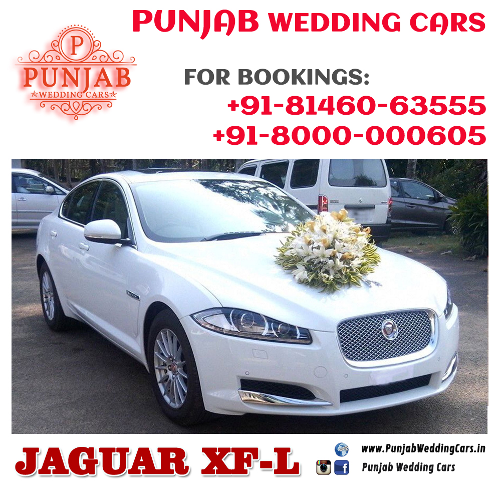 JAGUAR XF WHITE wedding car hire Punjab — Punjab Wedding Cars
