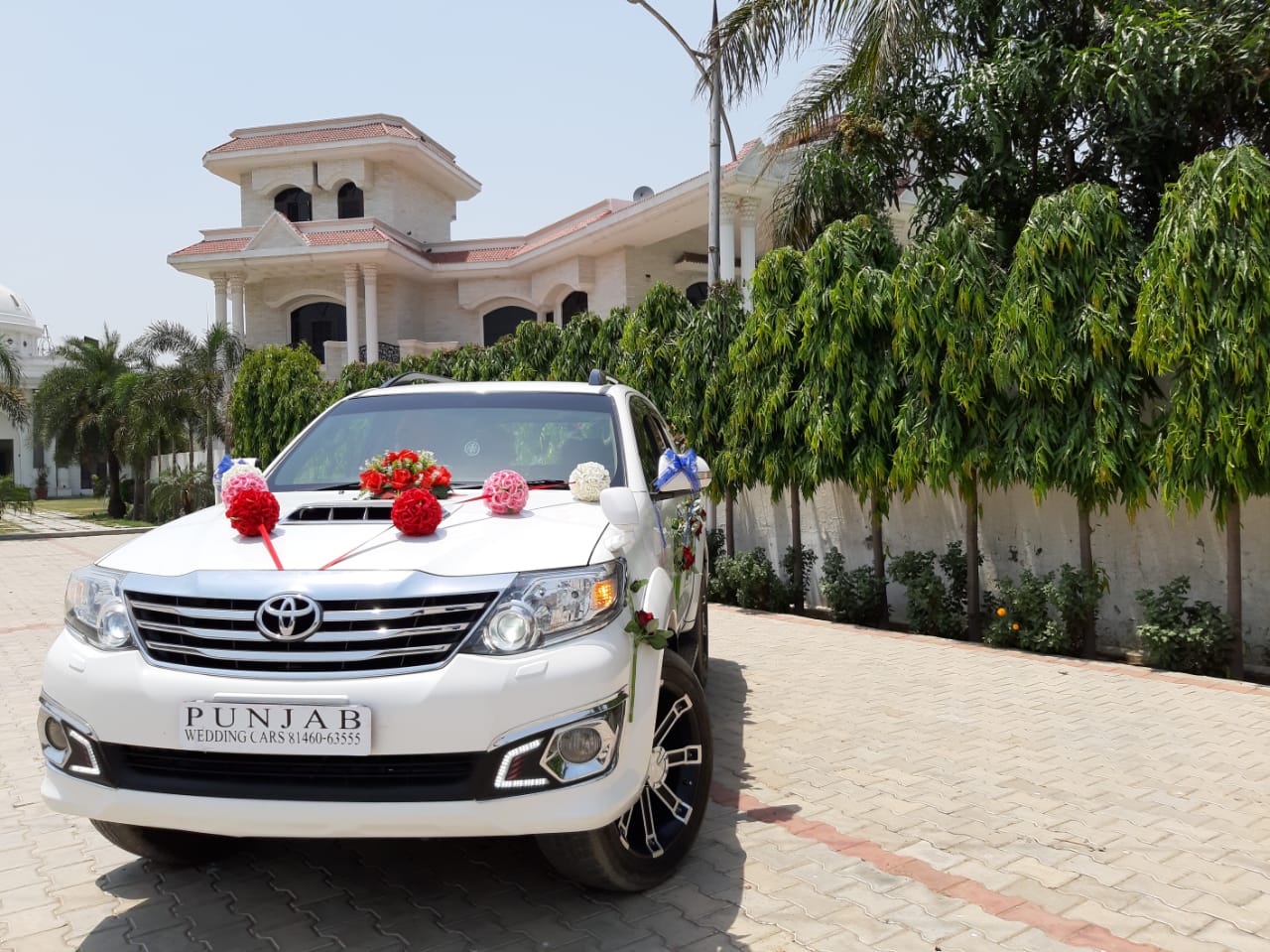 TOYOTA Fortuner White wedding car hire Punjab — Punjab Wedding Cars
