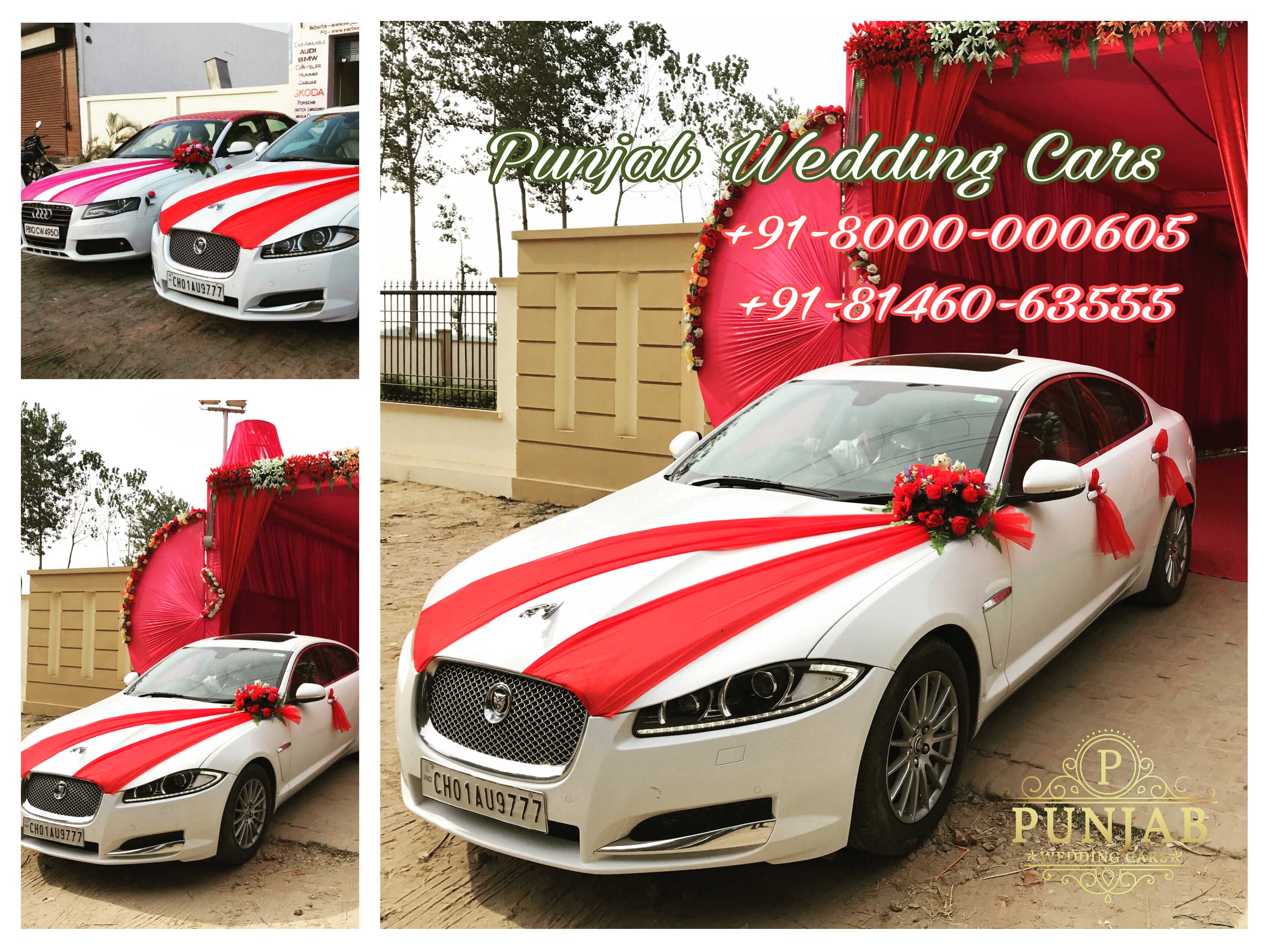 JAGUAR XF WHITE wedding car hire Punjab — Punjab Wedding Cars