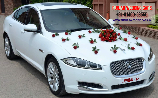 JAGUAR XF WHITE wedding car hire Punjab — Punjab Wedding Cars