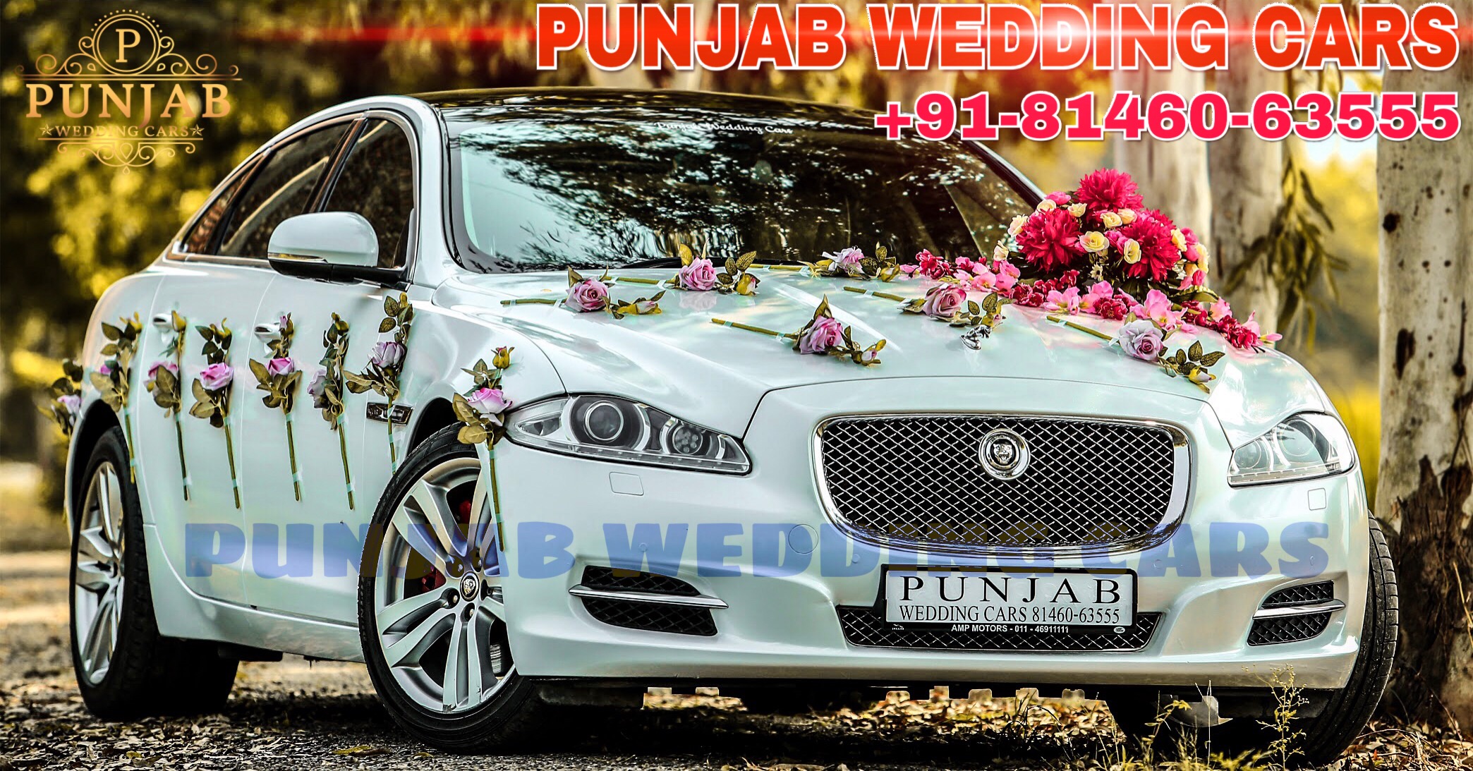 JAGUAR XJ L Sky wedding car hire Punjab — Punjab Wedding Cars