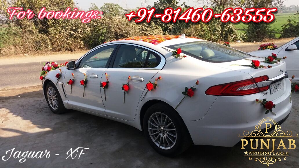 JAGUAR XF WHITE wedding car hire Punjab — Punjab Wedding Cars