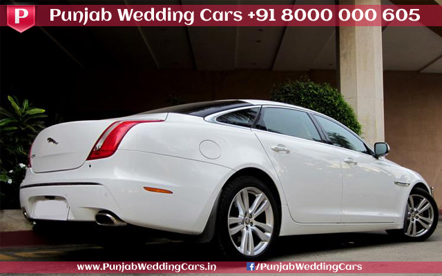 JAGUAR XJ L White wedding car hire Punjab — Punjab Wedding Cars