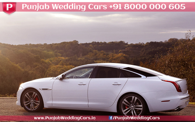 JAGUAR XJ L White wedding car hire Punjab — Punjab Wedding Cars