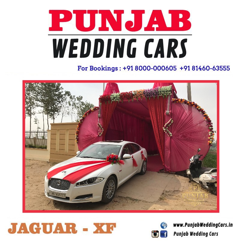 JAGUAR XF WHITE wedding car hire Punjab — Punjab Wedding Cars