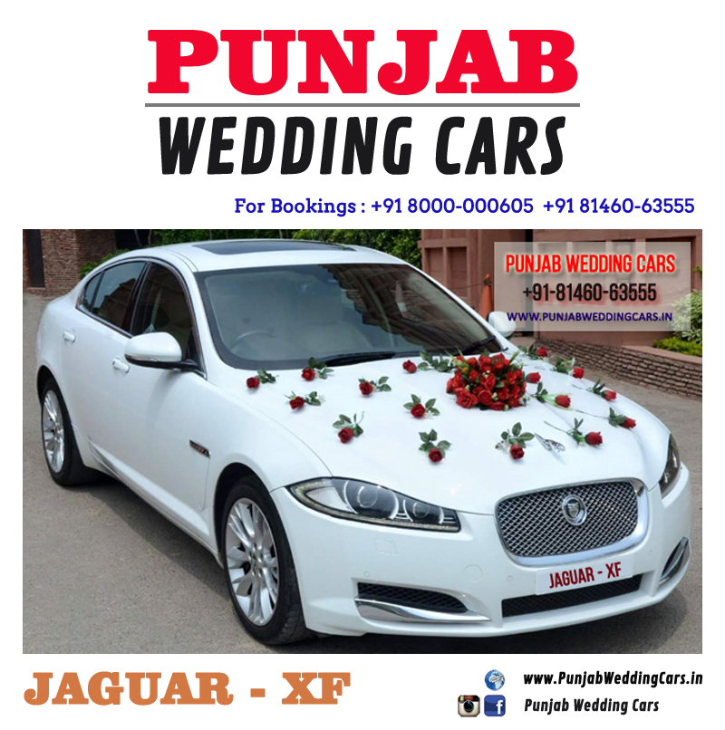 JAGUAR XF WHITE wedding car hire Punjab — Punjab Wedding Cars