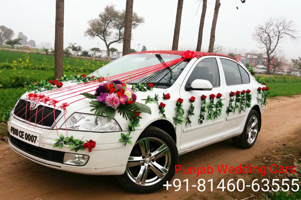 SKODA Laura (L&K) White wedding car hire Punjab — Punjab Wedding Cars