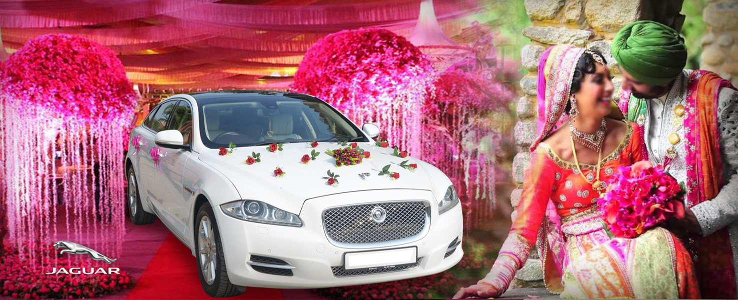 JAGUAR XJ L White wedding car hire Punjab — Punjab Wedding Cars