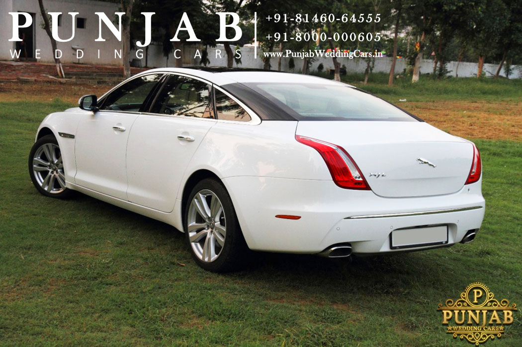 JAGUAR XJ L White wedding car hire Punjab — Punjab Wedding Cars