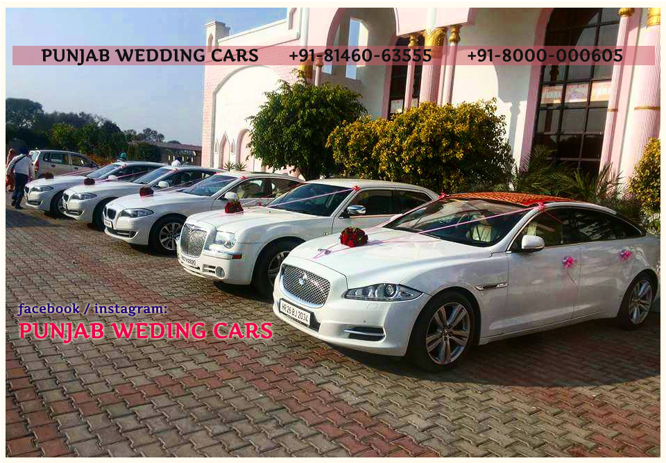 JAGUAR XJ L White wedding car hire Punjab — Punjab Wedding Cars