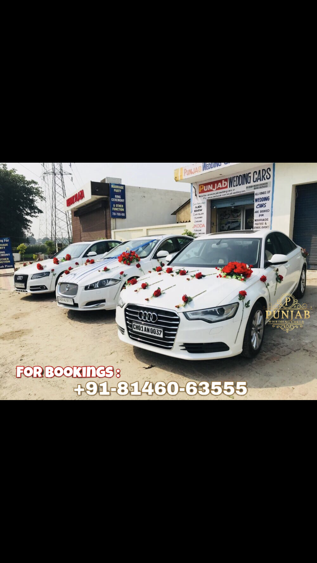 AUDI A6 White wedding car hire Punjab — Punjab Wedding Cars