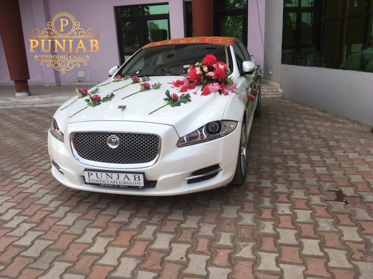 JAGUAR XJ L Sky wedding car hire Punjab — Punjab Wedding Cars