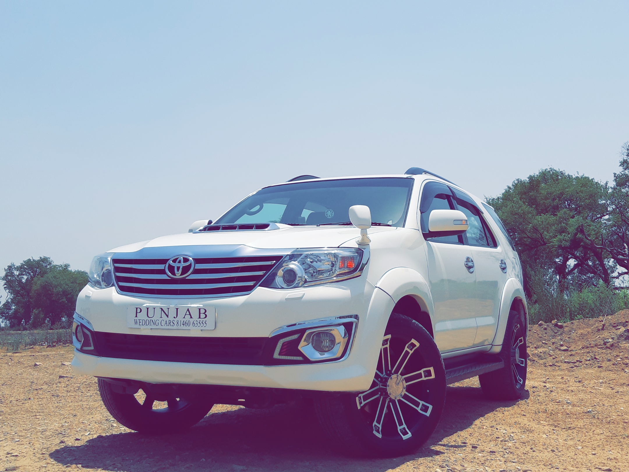 TOYOTA Fortuner White wedding car hire Punjab — Punjab Wedding Cars