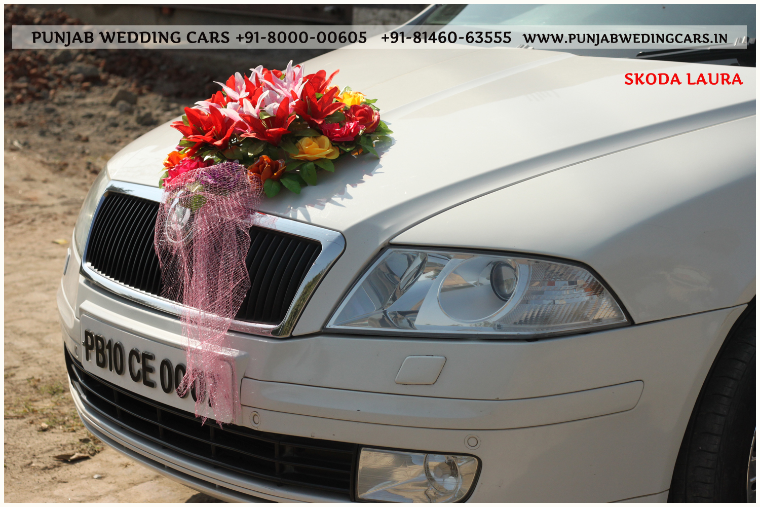 SKODA Laura (L&K) White wedding car hire Punjab — Punjab Wedding Cars