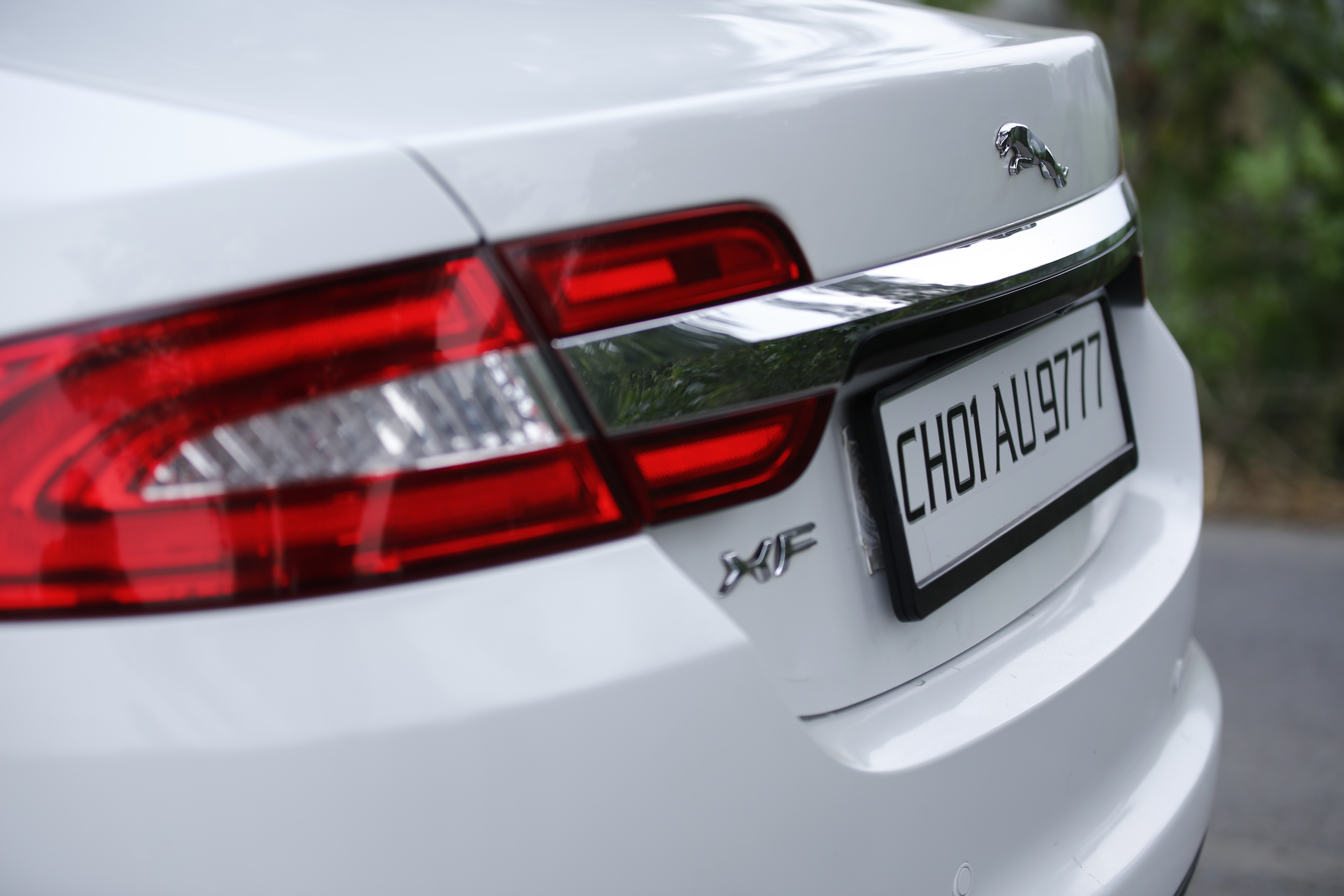 JAGUAR XF WHITE wedding car hire Punjab — Punjab Wedding Cars