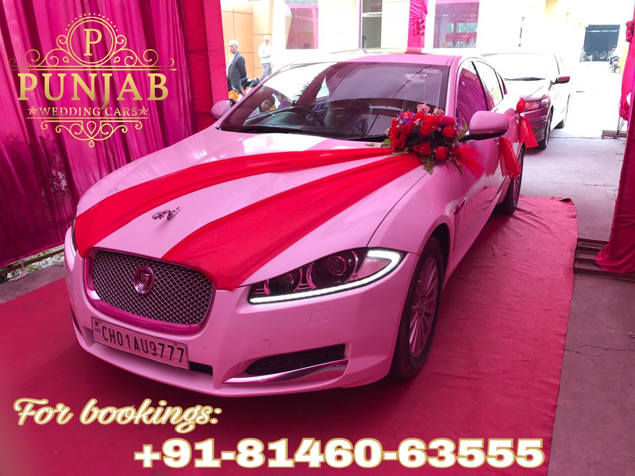 JAGUAR XF WHITE wedding car hire Punjab — Punjab Wedding Cars