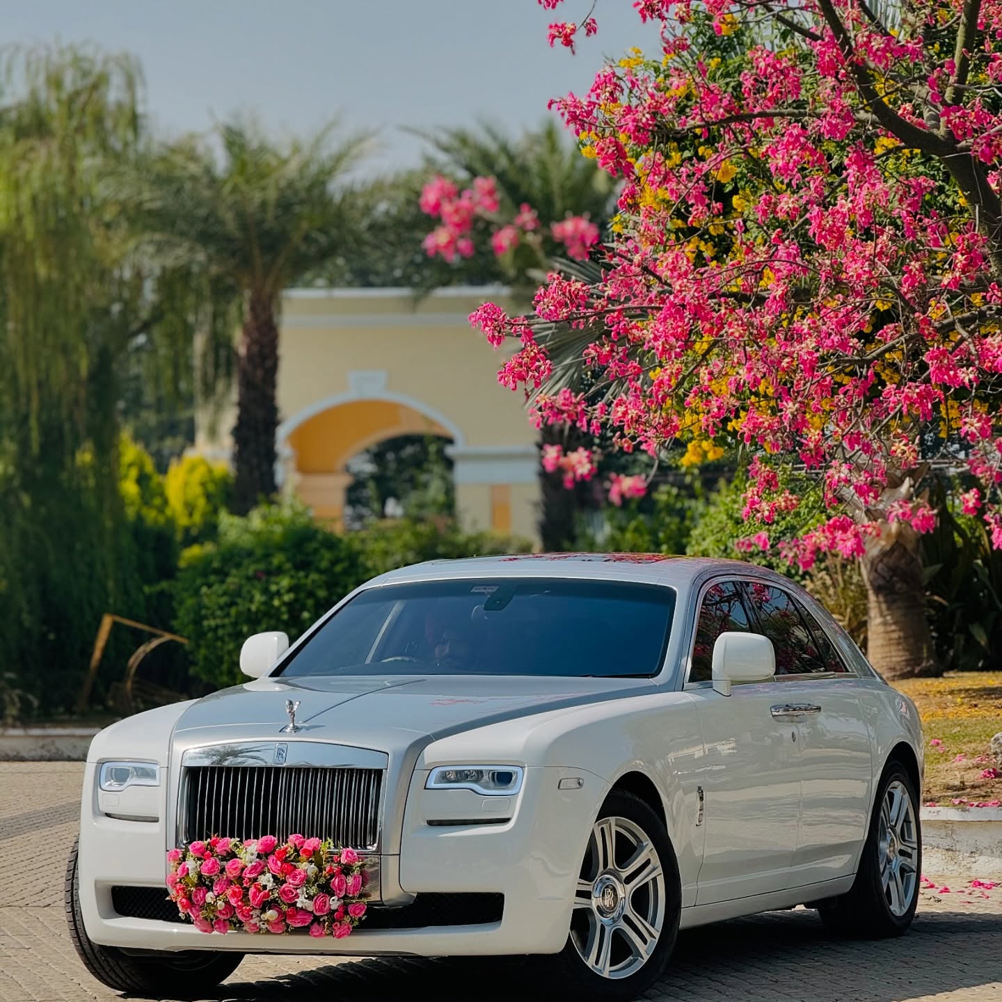 Rolls Royce Ghost White / Silver wedding car hire Punjab — Punjab Wedding Cars