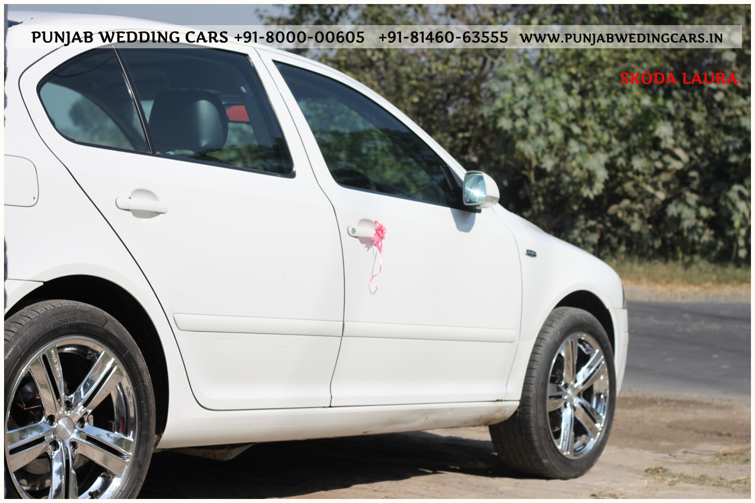 SKODA Laura (L&K) White wedding car hire Punjab — Punjab Wedding Cars