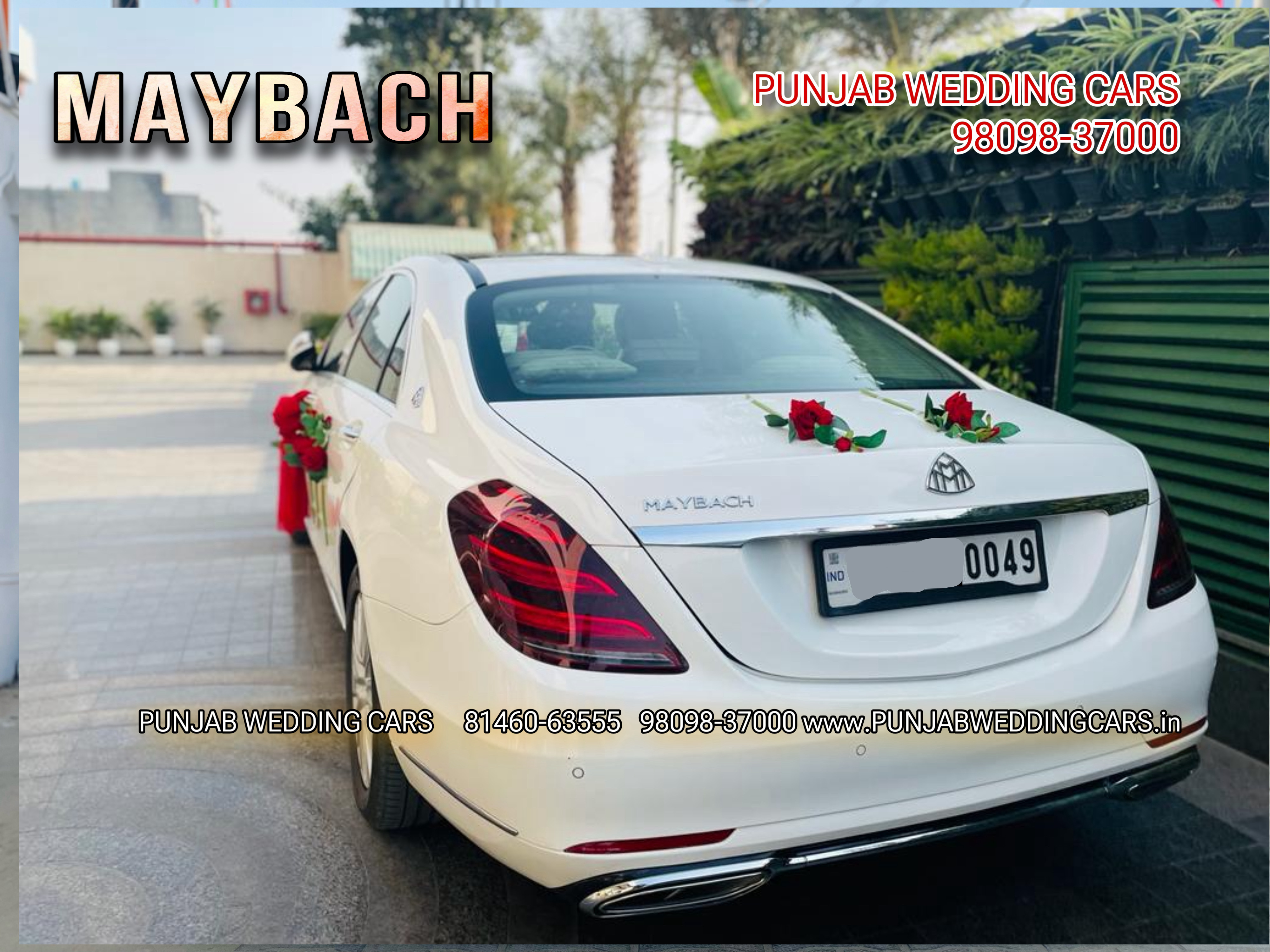 MERCEDES MAYBACH WHITE wedding car hire Punjab — Punjab Wedding Cars