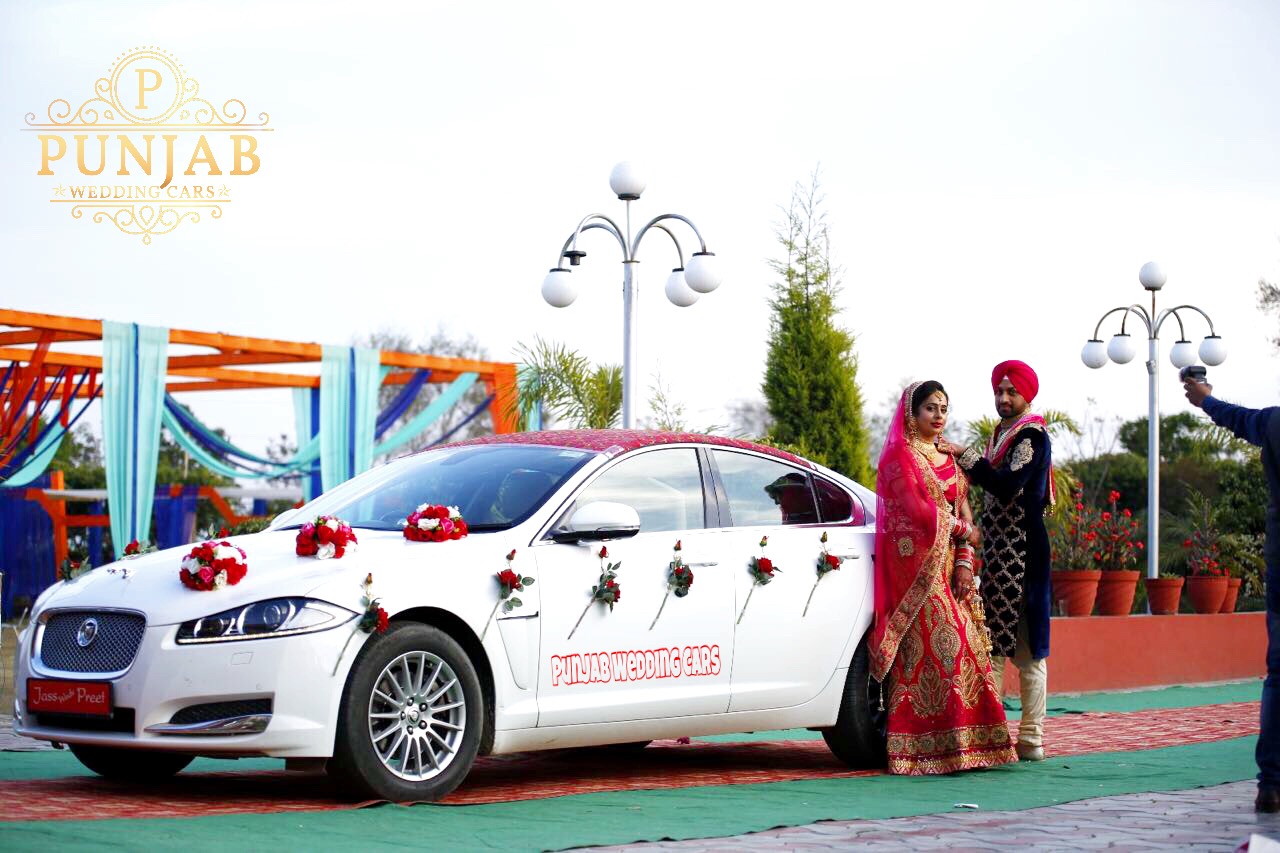 JAGUAR XF WHITE wedding car hire Punjab — Punjab Wedding Cars