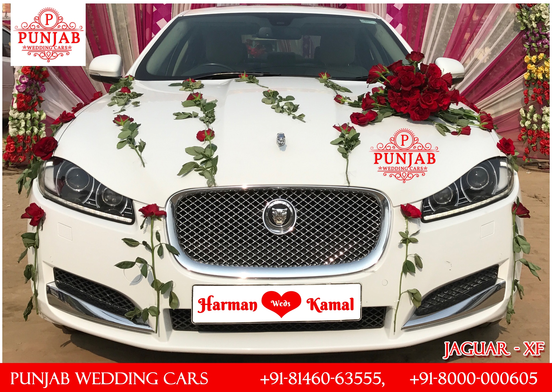 JAGUAR XF WHITE wedding car hire Punjab — Punjab Wedding Cars