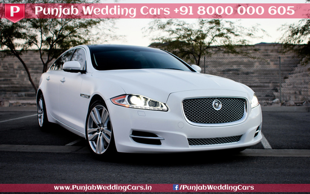 JAGUAR XJ L White wedding car hire Punjab — Punjab Wedding Cars