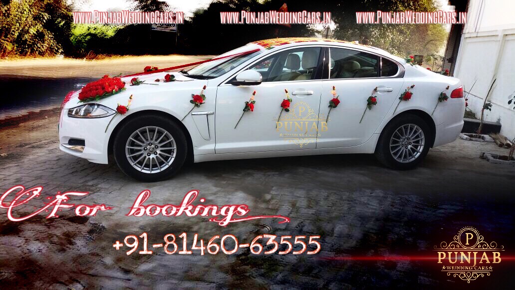 JAGUAR XF WHITE wedding car hire Punjab — Punjab Wedding Cars