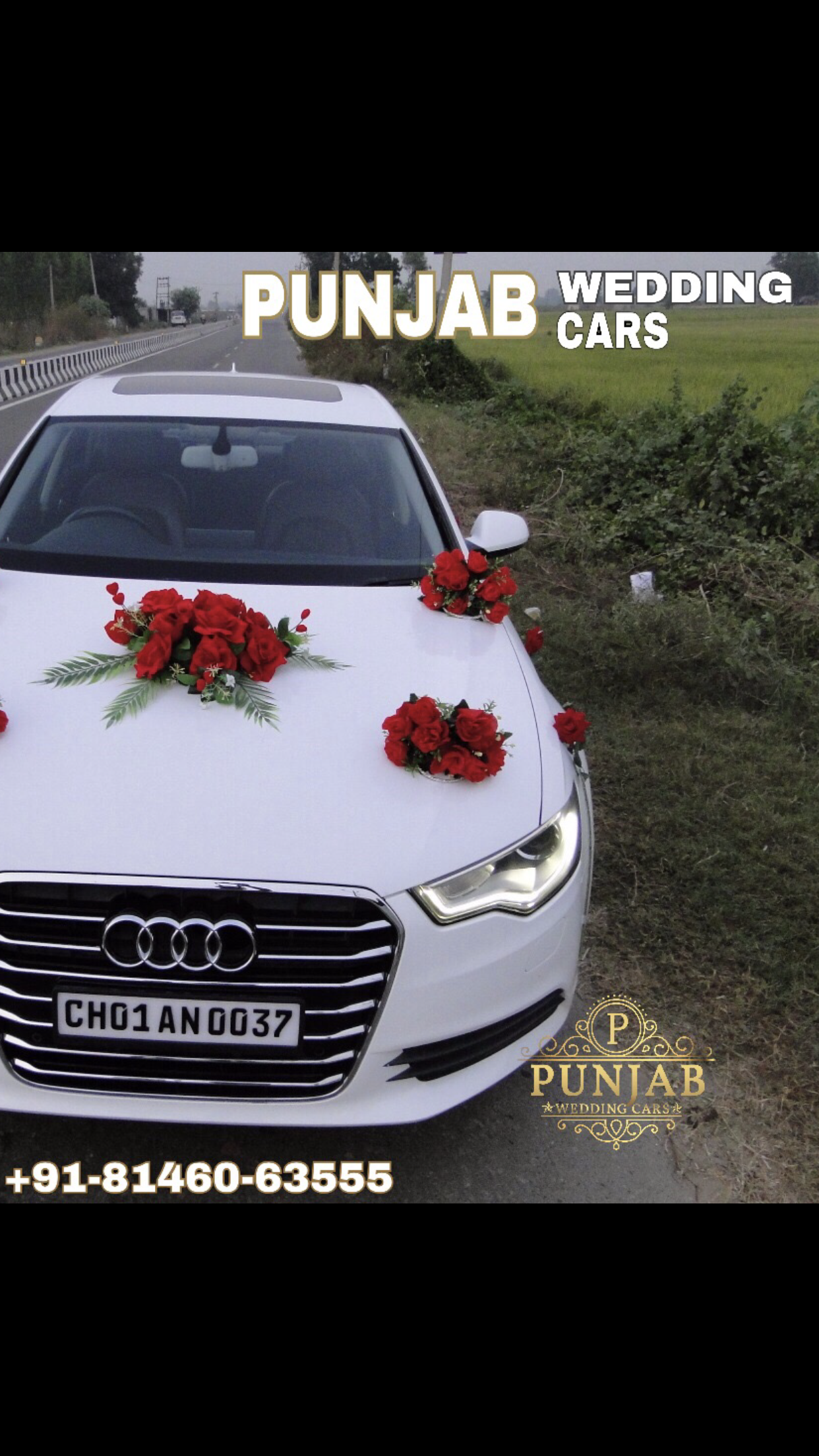 AUDI A6 White wedding car hire Punjab — Punjab Wedding Cars