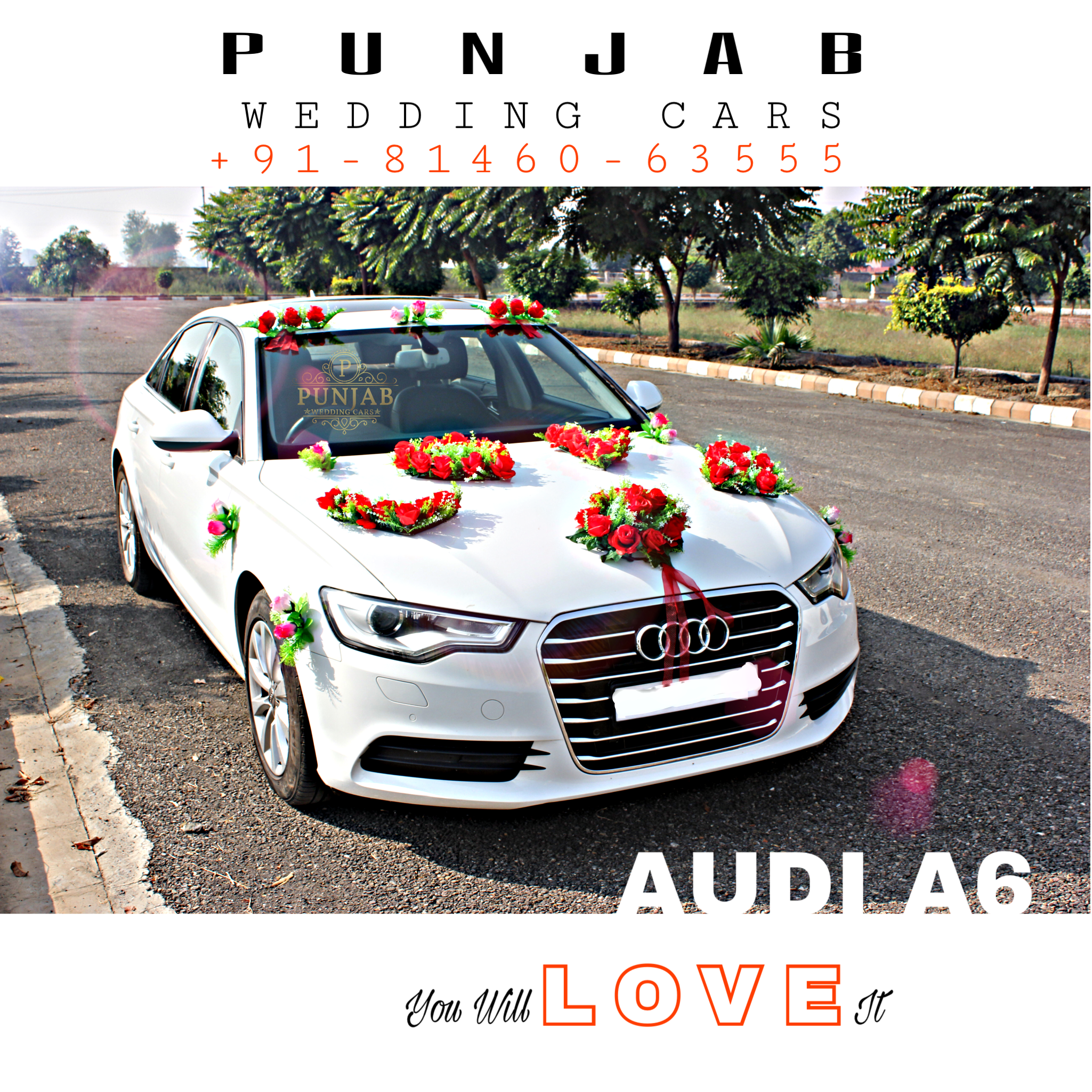 AUDI A6 White wedding car hire Punjab — Punjab Wedding Cars