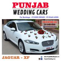 17DECORATED_JAGUAR_XF_WHITE.jpg