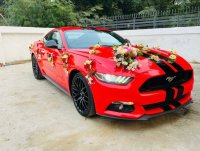 Ford Mustang — Punjab Wedding Cars gallery photo